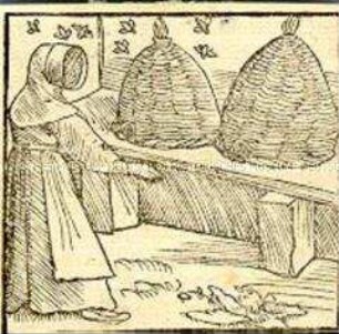 Imker mit zwei Bienenkörben und Bienen (aus Münster/ Cosmographia)