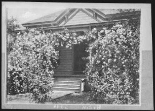 San Bernardino. A Rose Covered Cottage at San Bernardino, Cal.