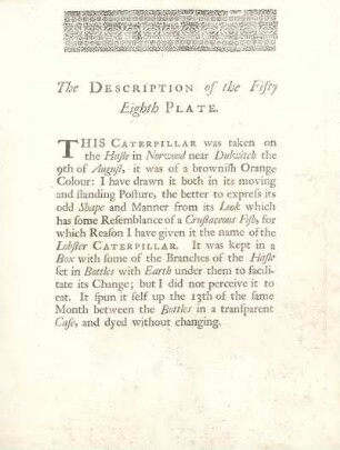 The Description of the Fifty Eighth Plate