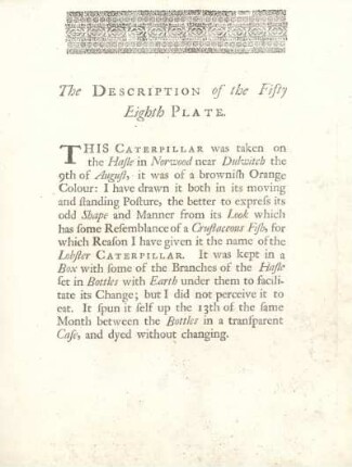 The Description of the Fifty Eighth Plate