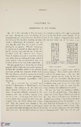 Chapter VI: Description of the plates