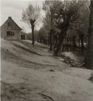 Weiden an einem Fluss