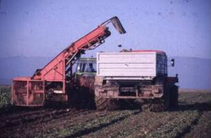 Fotografie: Antriebs- und Anbausystem, Fahrwerk, Reifen, Terrareifen, LKW