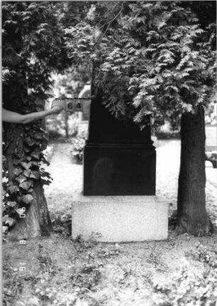 Grabstein 64 (Index: 99618152) Maße HxBxT: 220x63x37 cm Besonderheit: Doppelgrab für Eheleute: Grabstein 64