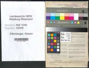 Entnazifizierung Robert Effenberger , geb. 08.11.1890 (Gaertner)