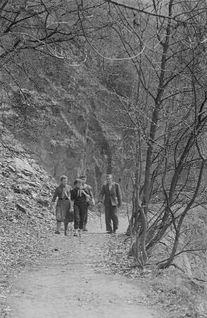 Vier Wanderer im Harz