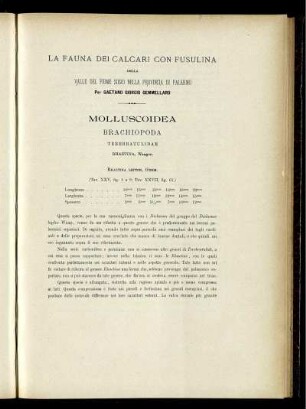 LA FAUNA DEI CALCARI CON FUSULINA