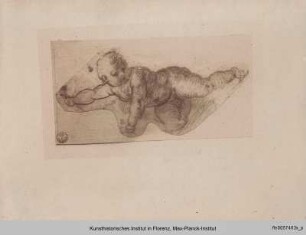 Putto