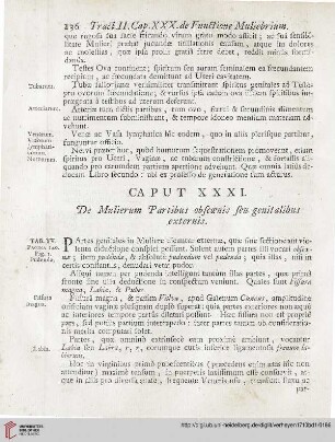Caput XXXI: De Mulierum Partibus obscoenis seu genitalibus externis