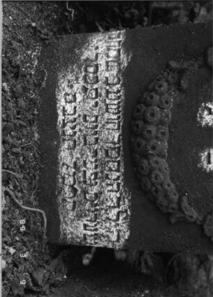 Grabstein 236 (Index: 100099884) Maße HxBxT: 56x38x13 cm Symbolik: Blüten, Verzierungen: Grabstein 236A