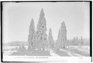 Altenberg. Am Galgenteich