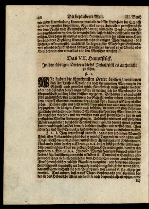 Das VII. Hauptstück.