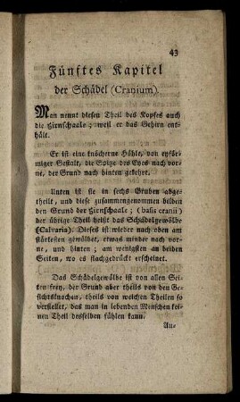 Fünftes Kapitel der Schädel (Cranium).
