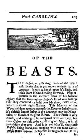 Of the Beasts