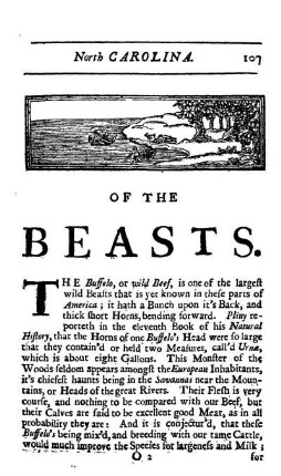 Of the Beasts