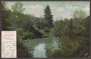 Ansichtskarte Teich im Viktoriapark