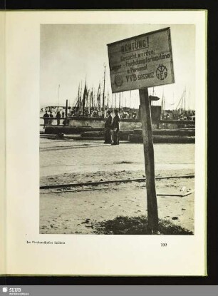 Im Fischereihafen Saßnitz