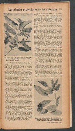 Las plantas protectoras de los animales