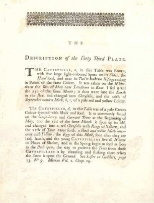 The Description of the Forty Third Plate