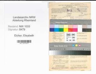 Entnazifizierung Elisabeth Eicher , geb. 08.03.1920 (Dolmetscherin)