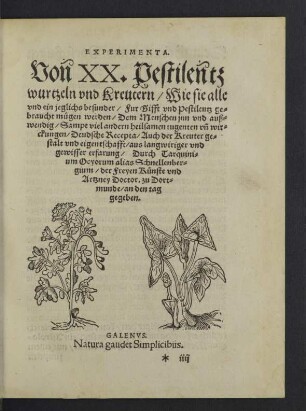 Experimenta. Von XX. Pestilentzwurtzeln und Kreutern