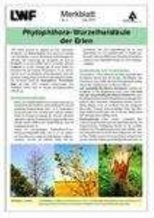 Phytophthora-Wurzelhalsfäule der Erlen