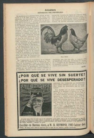 Avicultura : Exposición del centenario