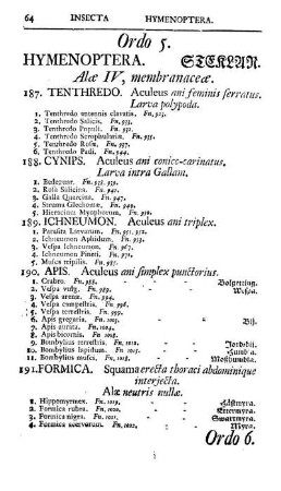 Ordo 5. Hymenoptera