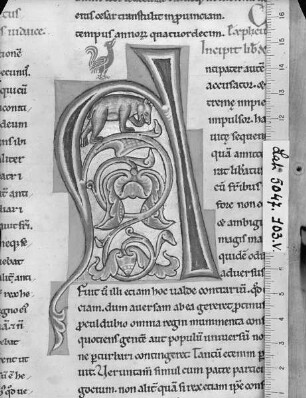 Flavius Iosephus: Antiquitatum Iudaïcarum ; De bello Iudaïco libri septem / Flavii Josephi antiquitatum Judaïcarum libri viginti : ad calcem subjicitur sancti Hieronymi de Josepho testimonium. — Initial A(ntipater ...) mit Bär, Folio fol. 103 v