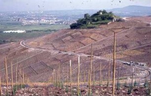 Flurbereinigungen, landwirtschaftlicher Wasser- und Wegebau