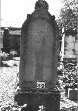 Grabstein 39 (Index: 100114468) Material: Kalkstein Zustand: verwittert mit Textverlust Maße HxBxT: 169x60x27 cm Beschreibung: Stele, Sockel, Rundbogenabschluß mit Mittelakroter auf Voluten Symbolik: Voluten, Palmette: Grabstein 39