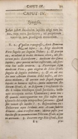 Caput IV. Synopsis.