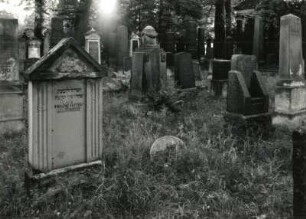 Görlitz-Biesnitz, Promenadenstraße. Jüdischer Friedhof. Grabmale (ab 1915). Ansicht mit Grabmal für Helene Lustig