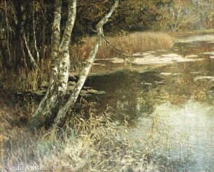 unbenannt [Waldsee]