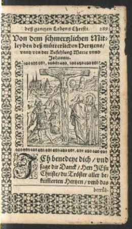 Von dem schmertzlichen Mitleyden deß mütterlichen Hertzens/ unnd von der Befehlung Marie unnd Johannis.