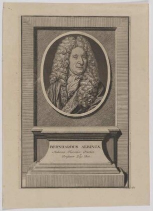 Bildnis des Bernhardus Albinus