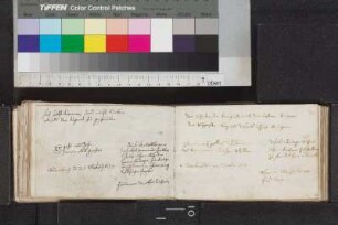 Peßler, Susanna Magdalena; Blatt 81