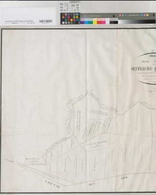 Albersloh (Sendenhorst), Hiltrup (Münster), Teilung der östlichen Hohe Ward, Reinkarte