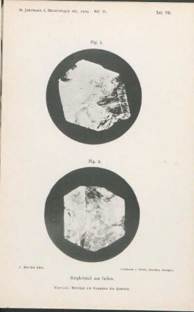 Taf. VII.