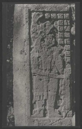 [153]: Yaxchilán II : Dinteln / Chiapas