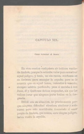 Capítulo XIX. - Cómo terminó el lance.
