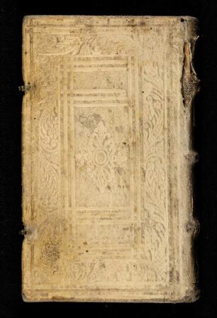 Enchiridion Juris Utriusque Breviter & Perspicue Explanans Definitionibus, Distinctionibus, Et Quæstionibus Infinitis Omnes tit Decretalium Et Institutionum Imperialium