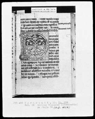 Psalterium — Initiale D (ominus illuminatio), Folio 26 recto