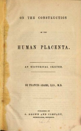 On the construction of the human placenta