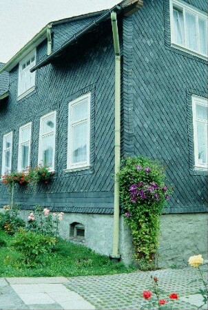Hausfassade mit Begrünung