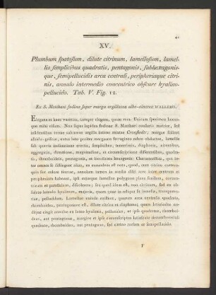 XV. Plumbum spatosum, dilute citrinum, lamellosum, lamellis simplicibus quadratis, pentagonis, subhexagonisque, semipellucidis arca centrali, ... Tab. V. Fig. 12