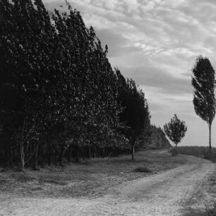 Landschaft in Razhevo Konare