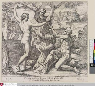 [Adam und Eva pflücken die verbotene Frucht. ;Adam et Ève cueillant du fruit défendu.]
