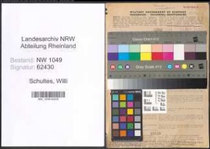 Entnazifizierung Willi Schultes , geb. 08.05.1897 (Landwirt)