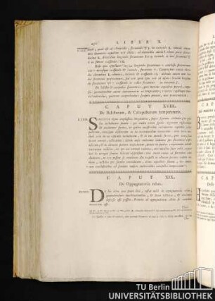 Caput XIX. De Oppugnatoriis rebus. Capitolo XIX. Delle Macchine da Oppugnare.